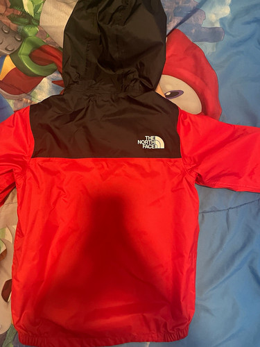 The north face unisex kids - the,