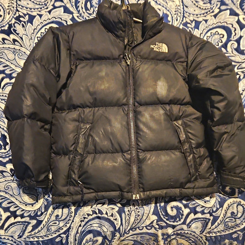 The north face - face, down