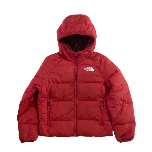 The north face puffer - the,
