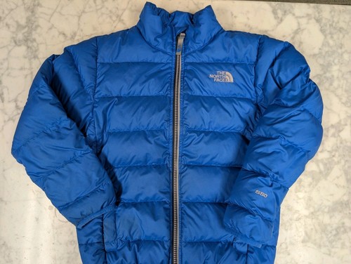 The north face blue pupper - face,